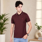 Imported HD Pique Lycra Fabric | Half Sleeve Collar T-Shirt | Regular Fit | GSM 220 | Casual & Daily Wear