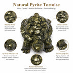 ANS BILLION Natural Pyrite Tortoise for Home &amp; Office Decor
